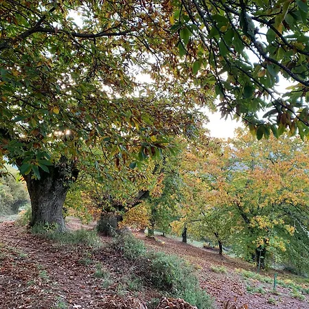 Casa Do Souto - Nature & Experiences - Σπίτι διακοπών Bragança