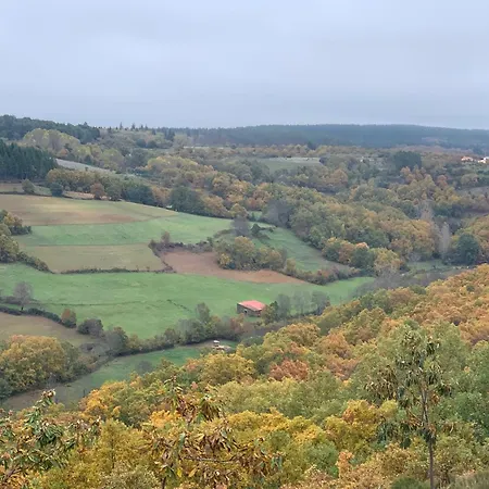 Casa Do Souto - Nature & Experiences - *