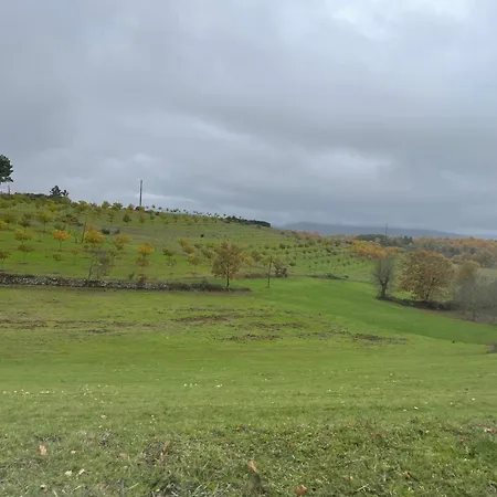 Casa Do Souto - Nature & Experiences - Σπίτι διακοπών *