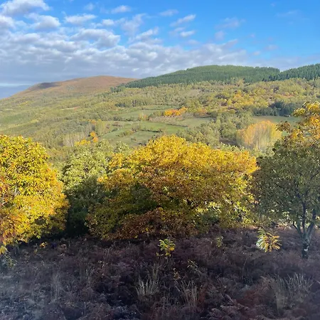 Casa Do Souto - Nature & Experiences - *