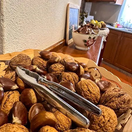 Σπίτι διακοπών Casa Do Souto - Nature & Experiences - *