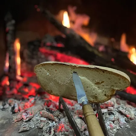 Casa Do Souto - Nature & Experiences - Σπίτι διακοπών