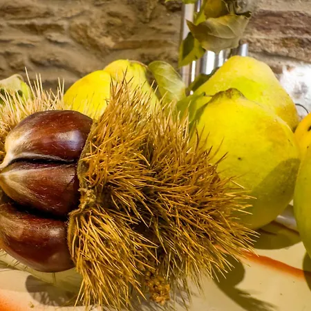 Σπίτι διακοπών Casa Do Souto - Nature & Experiences - Bragança