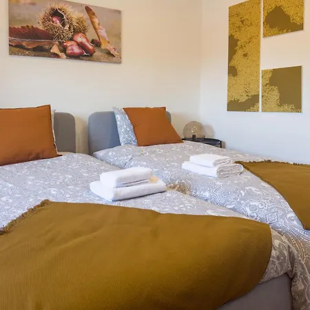 Casa Do Souto - Nature & Experiences - *