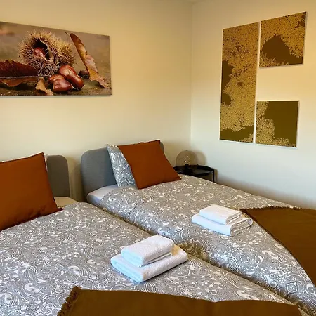 Dom wakacyjny Casa Do Souto - Nature & Experiences -