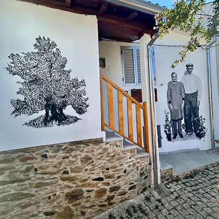 Σπίτι διακοπών Casa Do Souto - Nature & Experiences - *