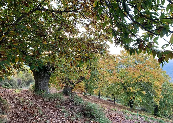 Casa Do Souto - Nature & Experiences - Holiday home Braganca