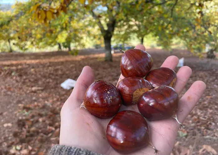 Casa Do Souto - Nature&experiences - Сasa de vacaciones *