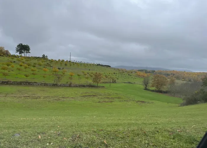 Casa Do Souto - Nature & Experiences - Holiday home *