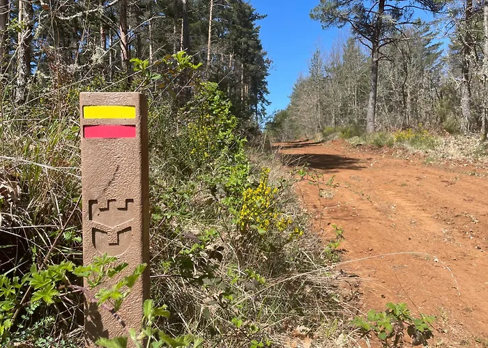 Casa Do Souto - Nature&experiences - * Bragança