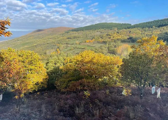 Casa Do Souto - Nature & Experiences - *