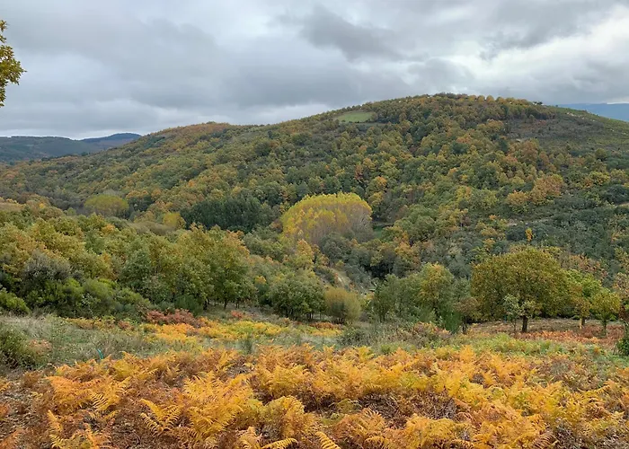 Casa Do Souto - Nature & Experiences -