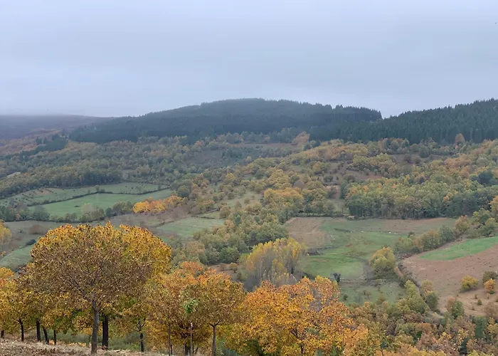 Casa Do Souto - Nature & Experiences - Holiday home Braganca