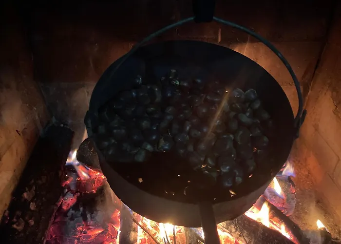 Casa Do Souto - Nature & Experiences - Holiday home *