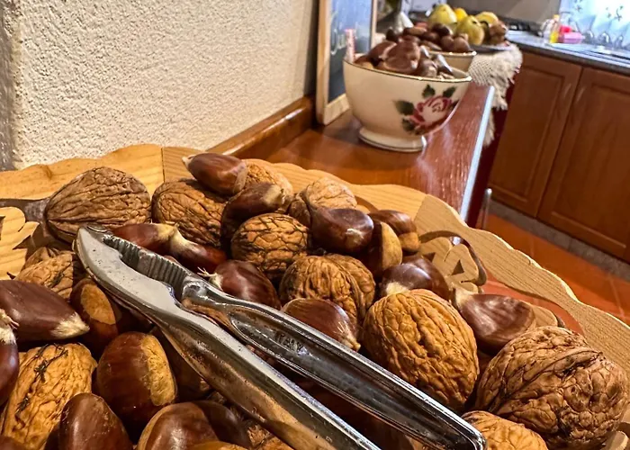 Holiday home Casa Do Souto - Nature & Experiences - *