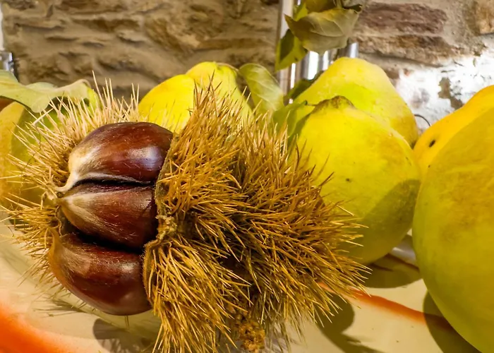 Holiday home Casa Do Souto - Nature & Experiences - Braganca